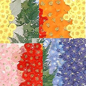 簡単押し花キットLサイズの詳細説明【イ－押し花ドットコム】