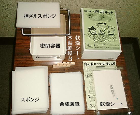 簡単押し花キットｌサイズの詳細説明 イ 押し花ドットコム